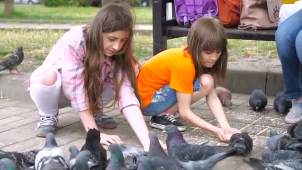 Two Little Girls Sisters Feed Pigeons Park Children Outdoor — Stock Video
