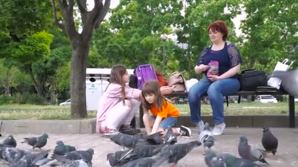つの小さな女の子の姉妹は 公園のハトをフィードします 屋外の子供たち — ストック動画