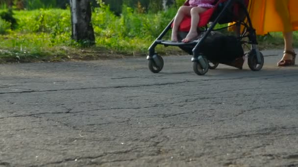 ベビーカーで赤ちゃんと一緒に公園を歩く二人の女性 — ストック動画