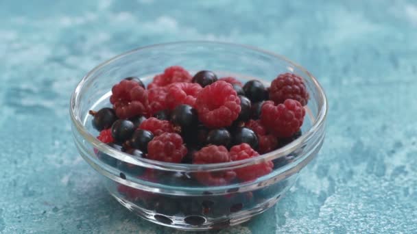 Gemischte Beeren Glasschüssel — Stockvideo