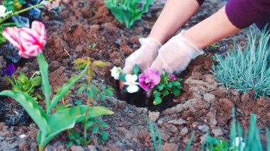 flowes onu bahçede dikim bir kadın görüntüsünü kapatmak