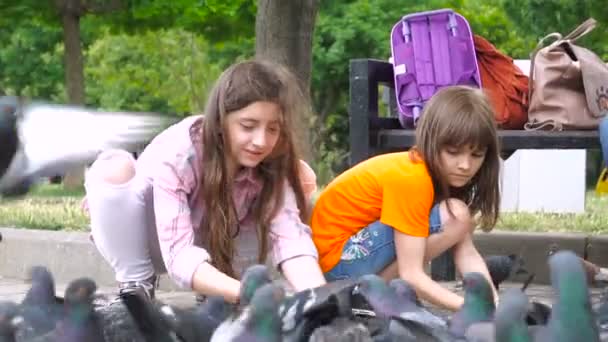 Iki Küçük Kız Kız Parkta Güvercin Beslemek Çocuklarda Açık — Stok video