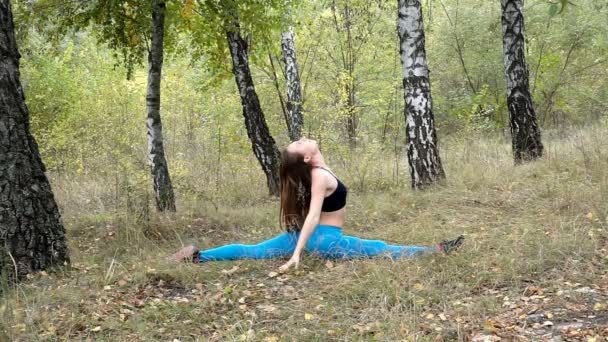 Hermosa Joven Modelo Practicando Yoga Parque — Vídeos de Stock