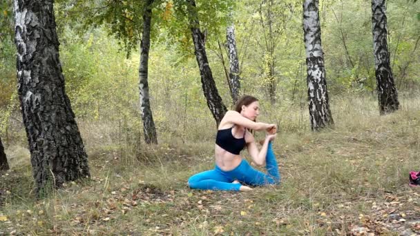 美丽的年轻模范妇女在公园里练习瑜伽 — 图库视频影像