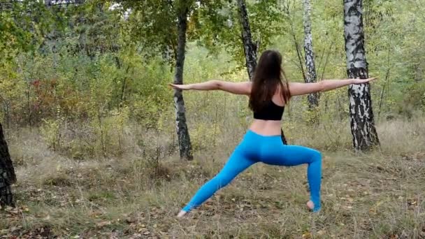 Hermosa Joven Modelo Practicando Yoga Parque — Vídeo de stock