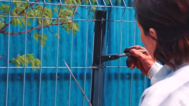 Worker Painting Iron Fence Using Black Paint — Stock Video