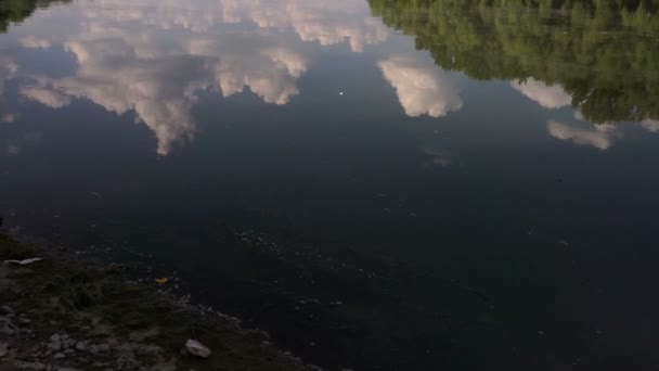 Paysage estival avec la rivière. Rivière Dniester, Moldavie .