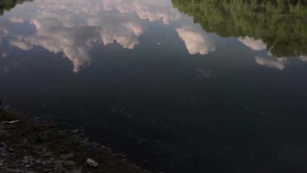 Paisagem Verão Com Rio Rio Dniester Moldávia — Vídeo de Stock