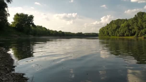 Літній Краєвид Річки Річка Дністер Молдова — стокове відео