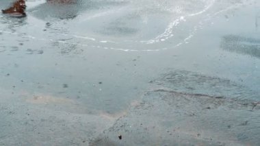 Yola düşen yağmur damlaları. Ağır yağmur yağmur yol yolda closeup çekim