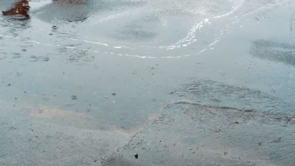 道路に落ちる水滴は雨します 雨の道路で大雨のクローズ アップ ショット — ストック動画