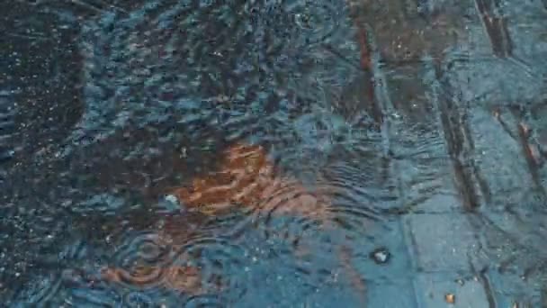 道路に落ちる水滴は雨します 雨の道路で大雨のクローズ アップ ショット — ストック動画