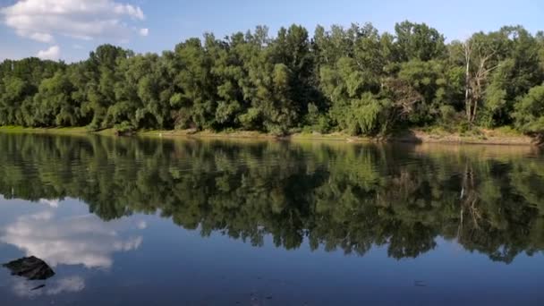 Paisagem Verão Com Rio Rio Dniester Moldávia — Vídeo de Stock