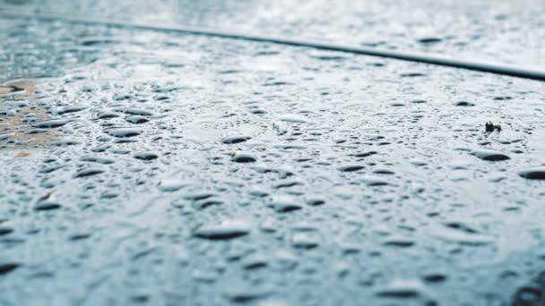 大雨のクローズ アップ スローモーション滴雨の日車にはね — ストック動画