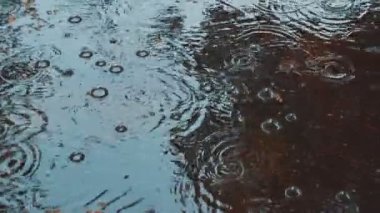 Yola düşen yağmur damlaları. Ağır yağmur yağmur yol yolda closeup çekim