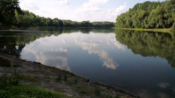 川の夏の風景 ドニエストル川 モルドバ — ストック動画