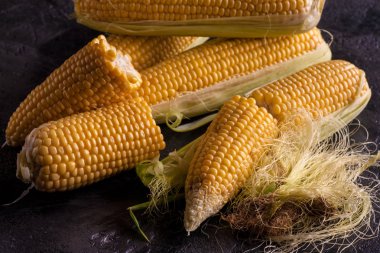 Karanlık bir antika arka plan üzerinde tatlı Mısır