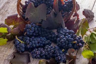 Kırmızı üzüm sepetindeki yapraklarda ahşap masa ile