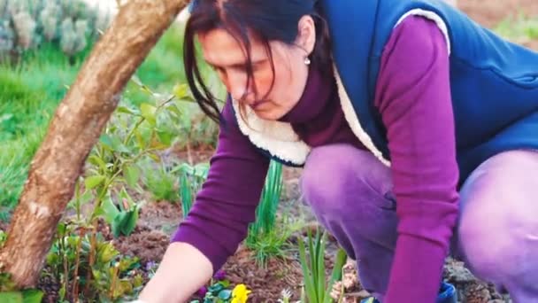 Flowes Onu Bahçede Dikim Bir Kadın Görüntüsünü Kapatmak — Stok video
