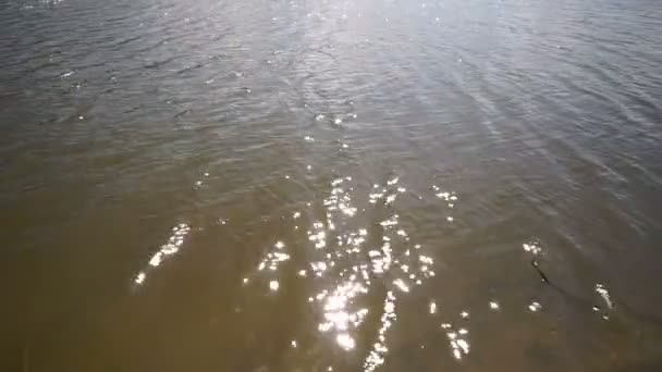 Golvende Water Oppervlakte Achtergrond Met Rimpelingen Glans Van Het Zonlicht — Stockvideo