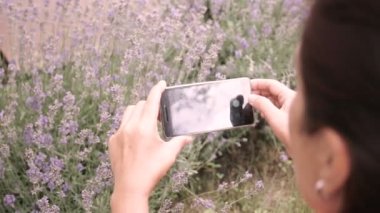 Lavanta fotoğraflarını Smartphone'da kadın. Yakın çekim.
