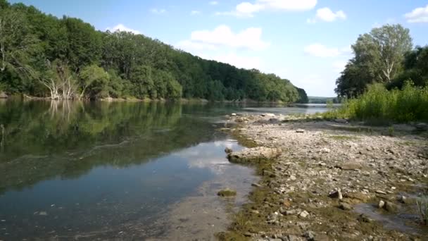 夏天的风景与河 摩尔多瓦德涅斯特河河 — 图库视频影像
