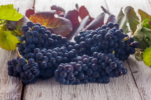 Uvas Vermelhas Frescas Mesa Madeira Frutos Naturais — Fotografia de Stock