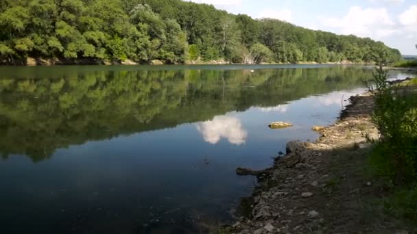 Letní Krajina Řekou Dněstr Řeka Moldavsko — Stock video