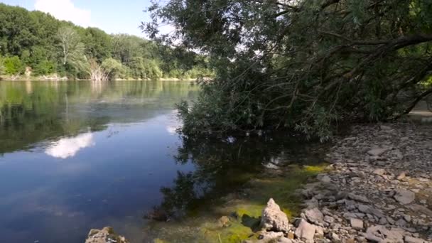 Paisagem Verão Com Rio Rio Dniester Moldávia — Vídeo de Stock