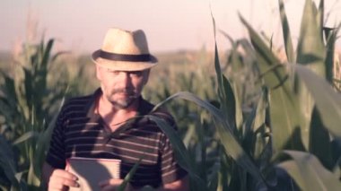 Mısır alanı Çözümleme Notları kitap ile çiftçi