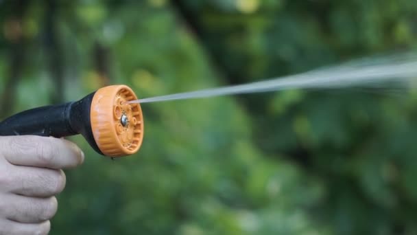 Mano Del Hombre Que Sostiene Aspersor Agua Mientras Que Jardinería — Vídeo de stock