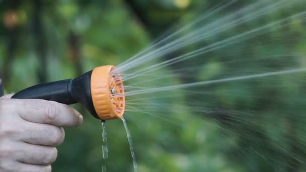 Mans Hand Som Håller Vatten Sprinkler Medan Trädgårdsarbete Vatten Sprutning — Stockvideo