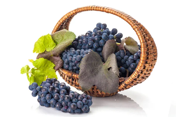 Grapes Basket Isolated White Background — Stock Photo, Image