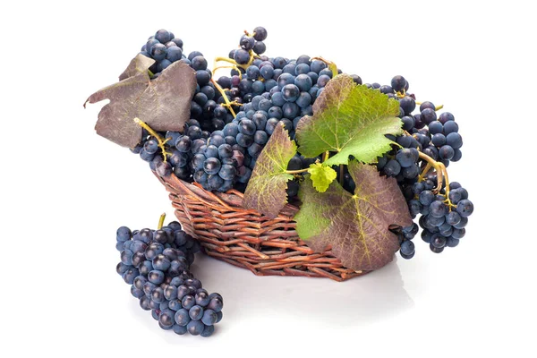 Grapes in basket isolated Stock Photo