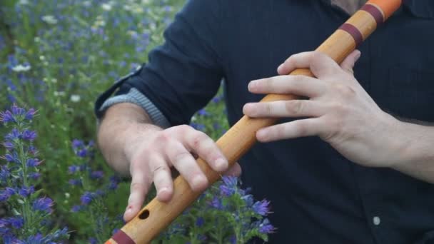 Young Man Playing Flute Summer Time Outdoor — Stock Video