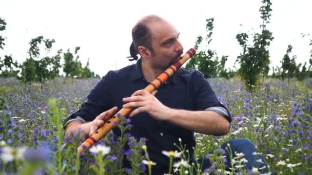 Joven Tocando Flauta Hora Del Verano Aire Libre — Vídeos de Stock