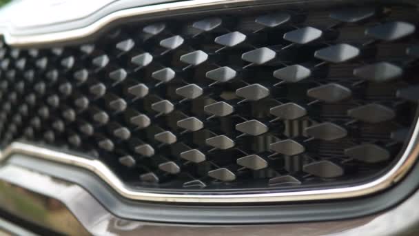 Front Grill Car Modrn Car — Stock Video