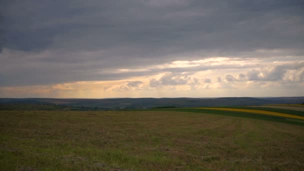 夏日乡村风景 多云的天空 干枯的草地和树木 — 图库视频影像