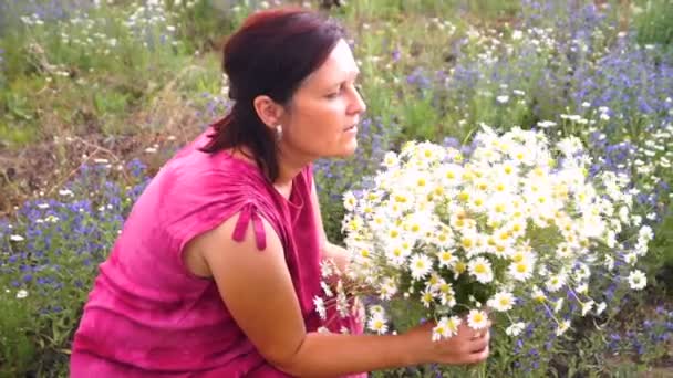 Mulher Herbalist Fêmea Pegar Flores Margarida Campo Verão — Vídeo de Stock