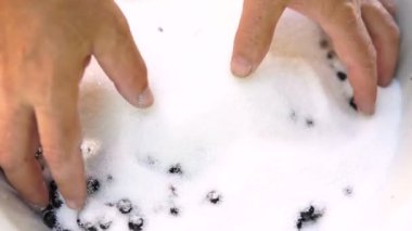 Aşçı siyah frenk üzümü reçeli hazırlar