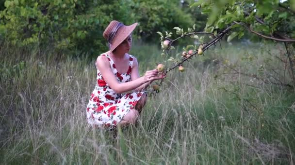 Vacker Blond Flicka Hatt Och Klänning Står Apple Trädgården — Stockvideo