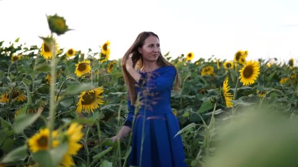 Menina Bonita Vestido Azul Escuro Campo Girassóis Sorrindo Belo Sorriso — Vídeo de Stock