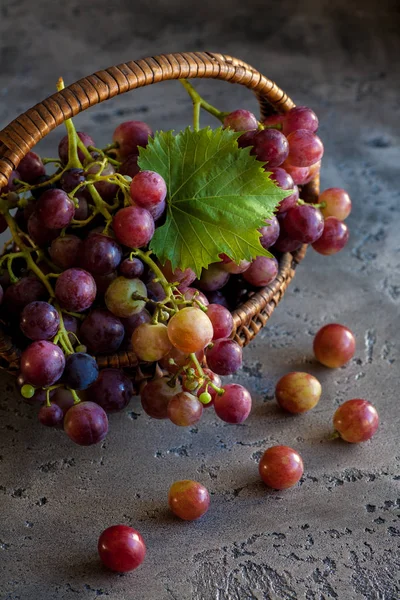 Grapes Basket Vintage Background — Stock Photo, Image