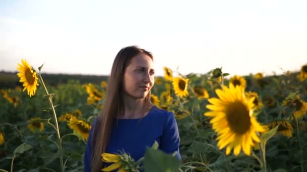 Vacker Flicka Mörk Blå Klänning Ett Fält Solrosor Log Ett — Stockvideo