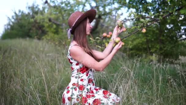Красивая блондинка стоит на яблоневом саду . — стоковое видео