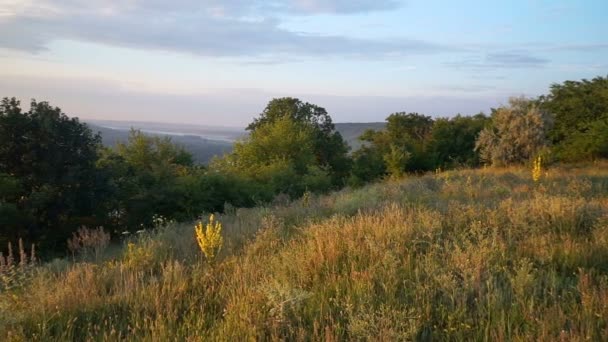 Verano paisaje rural — Vídeos de Stock