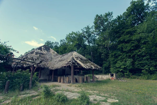 Vieilles Maisons Couvertes Roseau Dans Les Bois — Photo