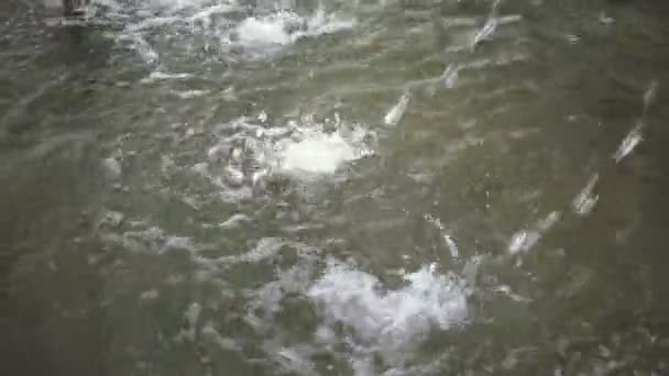 Gros Plan Des Cours Eau Dans Fontaine Fond Abstrait — Video