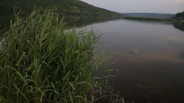 Letní Krajina Řekou Dněstr Řeka Moldavsko — Stock video