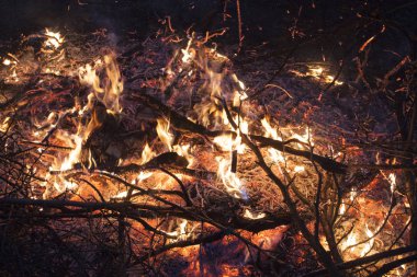 Yangın arka plan gecede alevler.